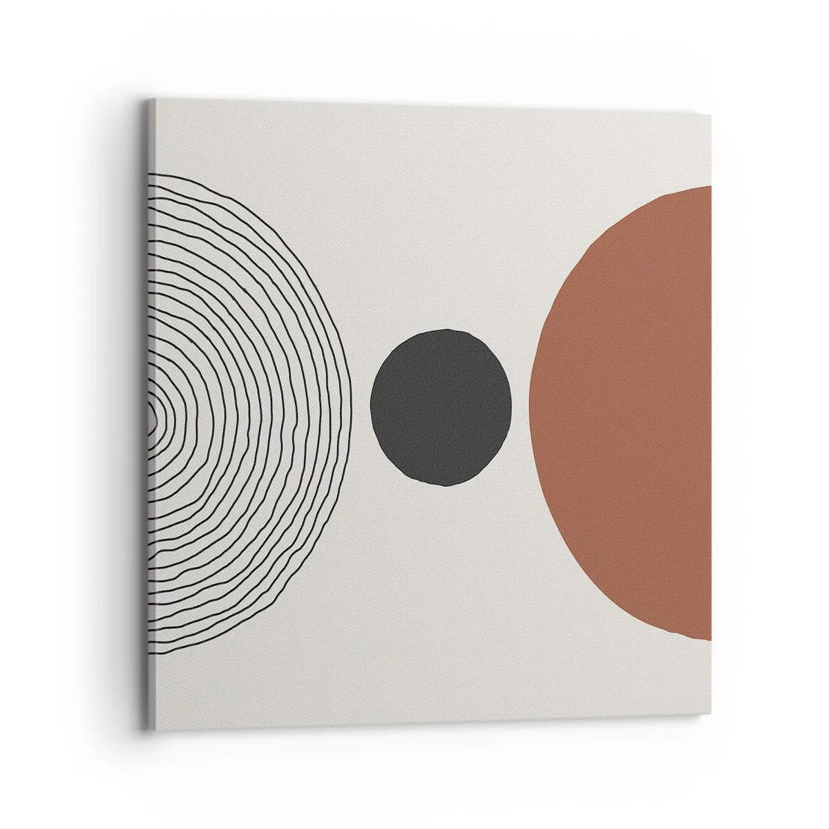 Obraz na plátne - V centre pozornosti - 70x70 cm