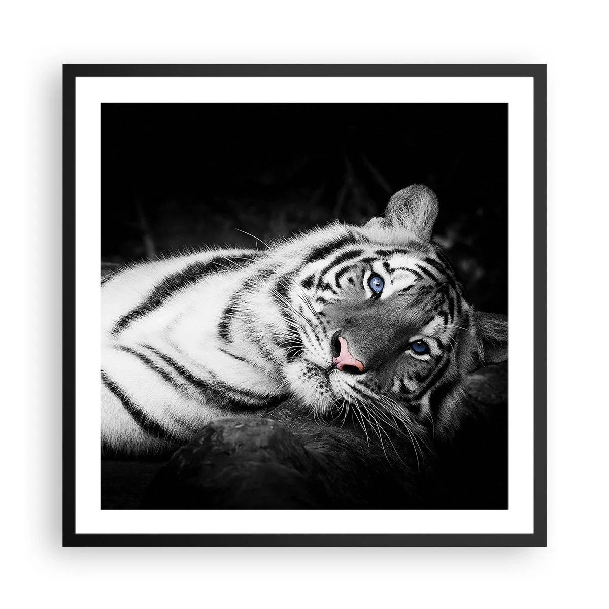 Plagát v čiernom ráme - Divočina a pokoj - 60x60 cm
