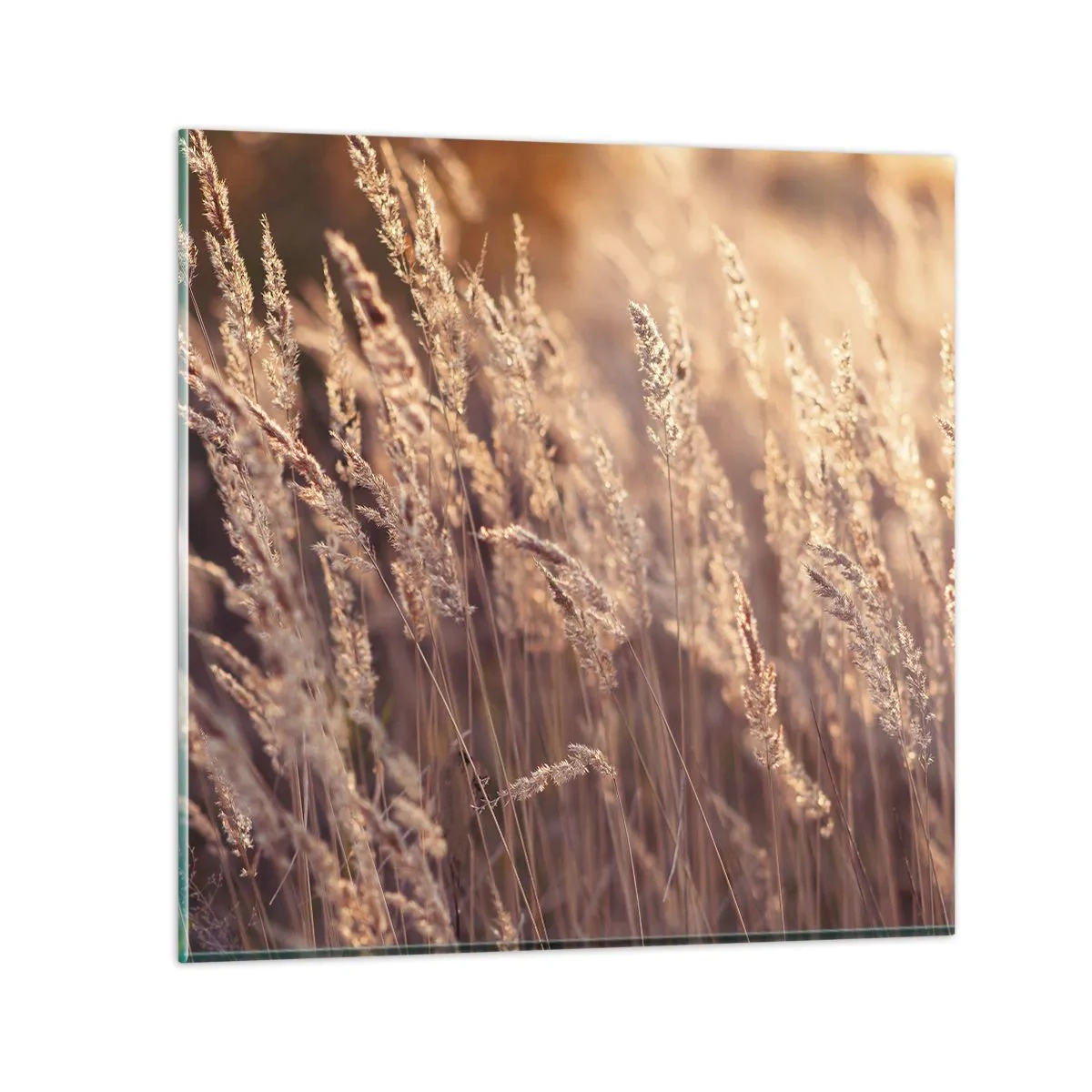 Obraz na skle - Pripravení privítať jeseň - 60x60 cm