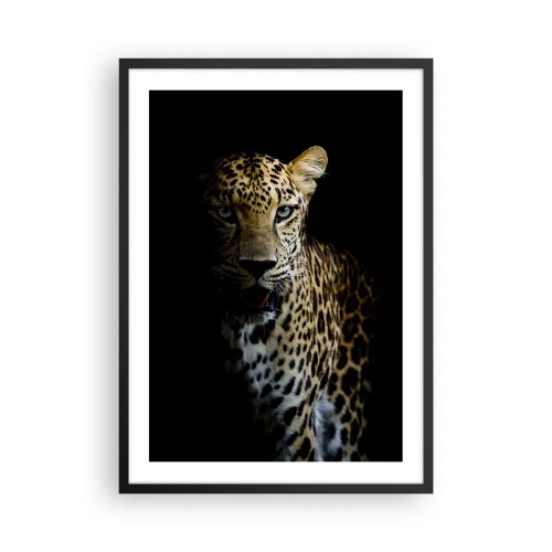 Plagát v čiernom ráme - Leopard na tmavom pozadí so živými detailmi kožušiny. - 50x70cm - Temná krása - Moderná nástenná dekorácia do obývacej izby a spálne ARTTOR