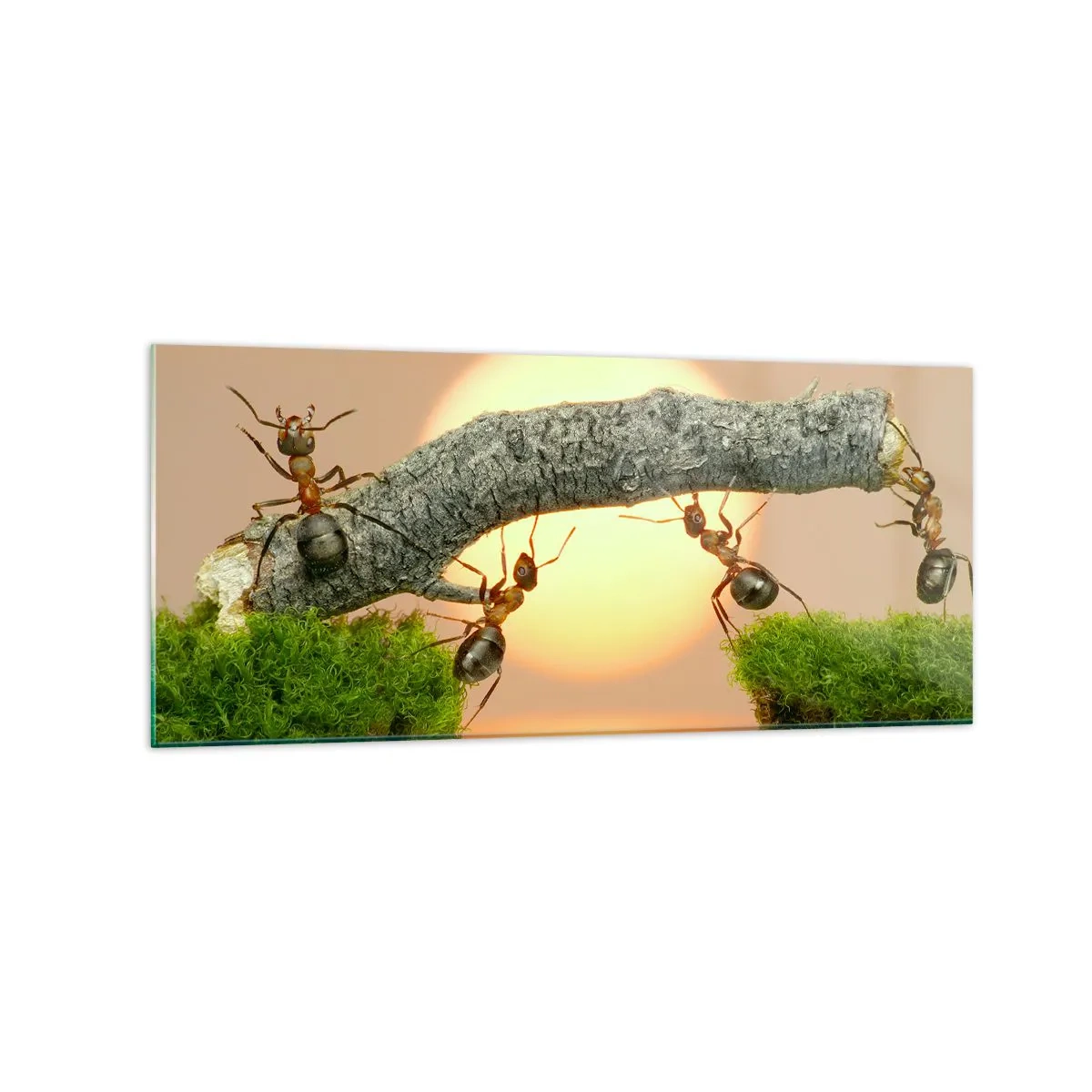 Obraz na skle - Radostná, spoločná práca - 120x50 cm