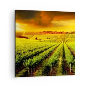 Obraz na plátne - Pod austrálskym slnkom - 50x50 cm