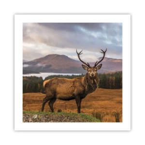 Plagát - Majestát prírody - 50x50 cm