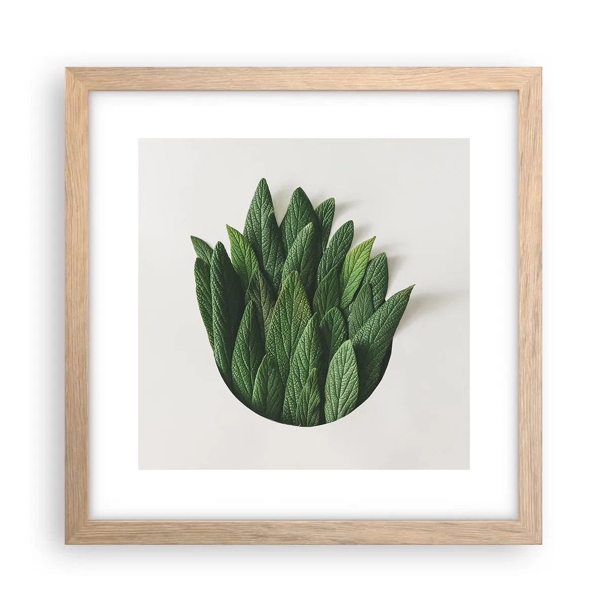 Plagát v ráme zo svetlého duba - Neukojiteľná zvedavosť - 30x30 cm