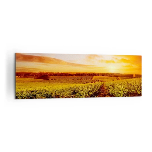 Obraz na plátne - Jemne ovocné s nádychom slnka - 160x50 cm