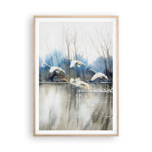 Plagát v ráme zo svetlého duba - Ako v poviedke o divokých labutiach - 70x100 cm