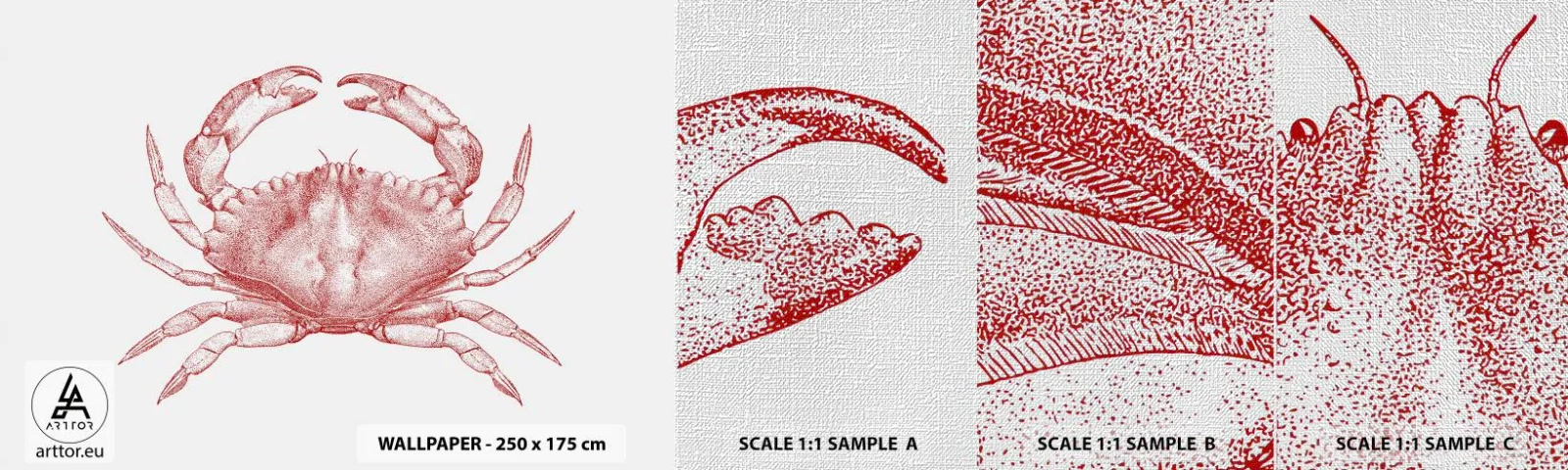 Vzorka fototapety Premium Canvas - Krab nad kraby - Krab, Morské plody, Mäkkýše - 100x30 cm