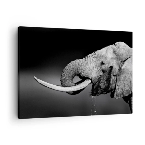 Obraz na plátne - Čiernobiely portrét slona z profilu - 70x50cm - Áno, teraz je to dobré - Moderná nástenná dekorácia do obývacej izby a spálne ARTTOR