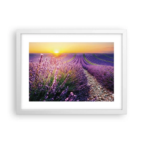 Plagát v bielom ráme - Voňavý lán - 40x30 cm