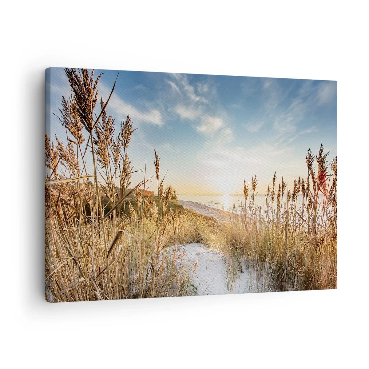 Obraz na plátne - Malebná pláž s trávou a zapadajúcim slnkom - 70x50cm - Severná pláž - Moderná nástenná dekorácia do obývacej izby a spálne ARTTOR