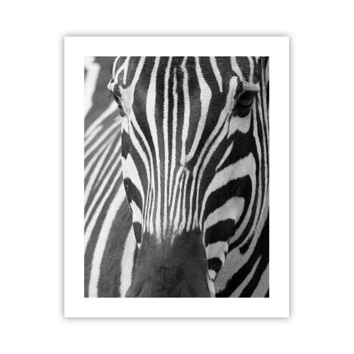 Plagát - Svet je čierno-biely - 40x50 cm