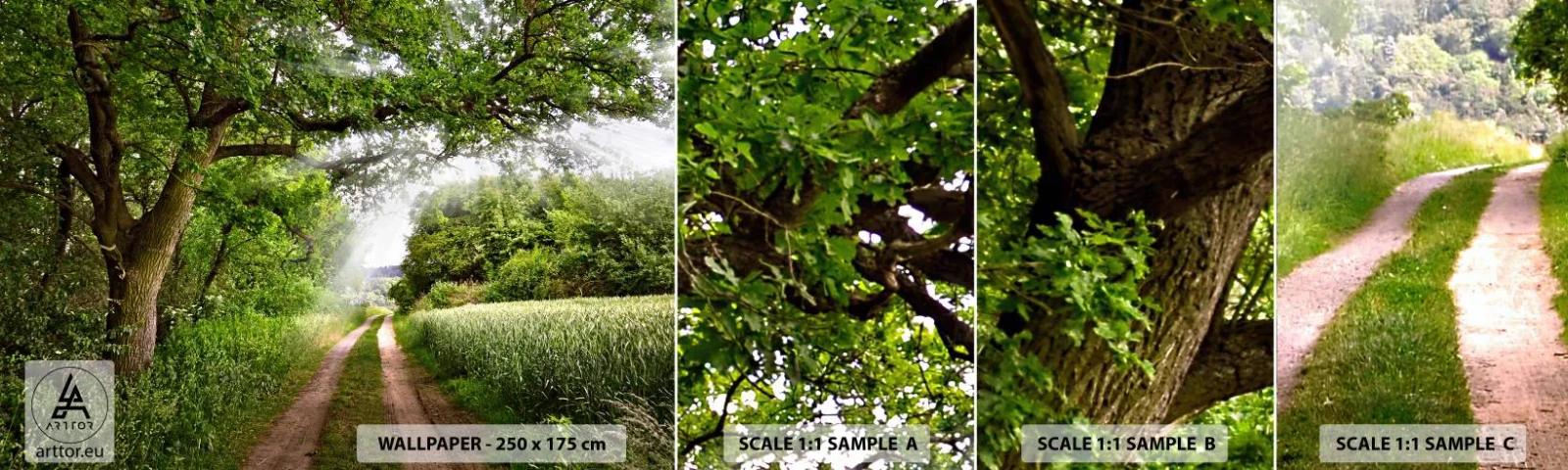 Vzorka samolepiacej fototapety Deluxe Sticker - Et in Arcadia ego - Krajina, Špinavá cesta, Príroda - 100x30 cm