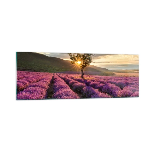 Obraz na skle - Aróma vo fialovej - 90x30 cm