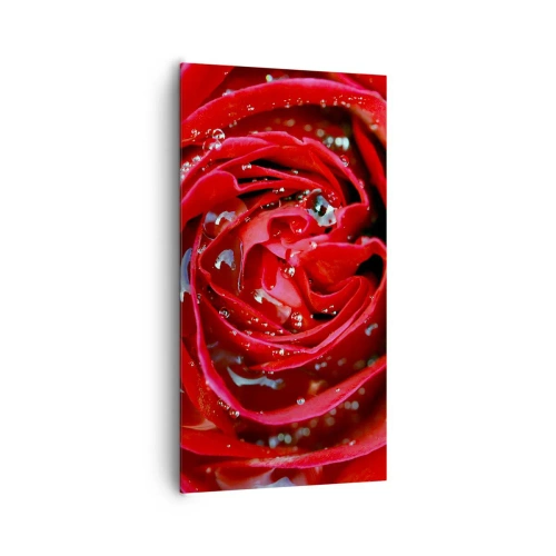 Obraz na plátne - V kvapkách rosy - 65x120 cm