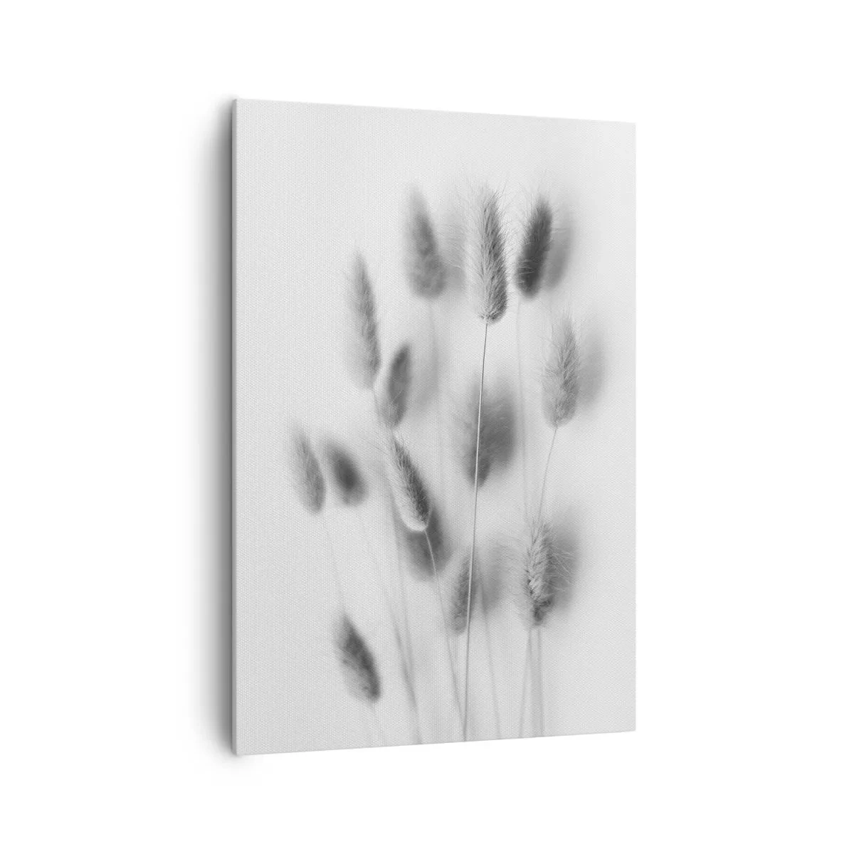 Obraz na plátne - Našuchorená tráva - 70x100 cm