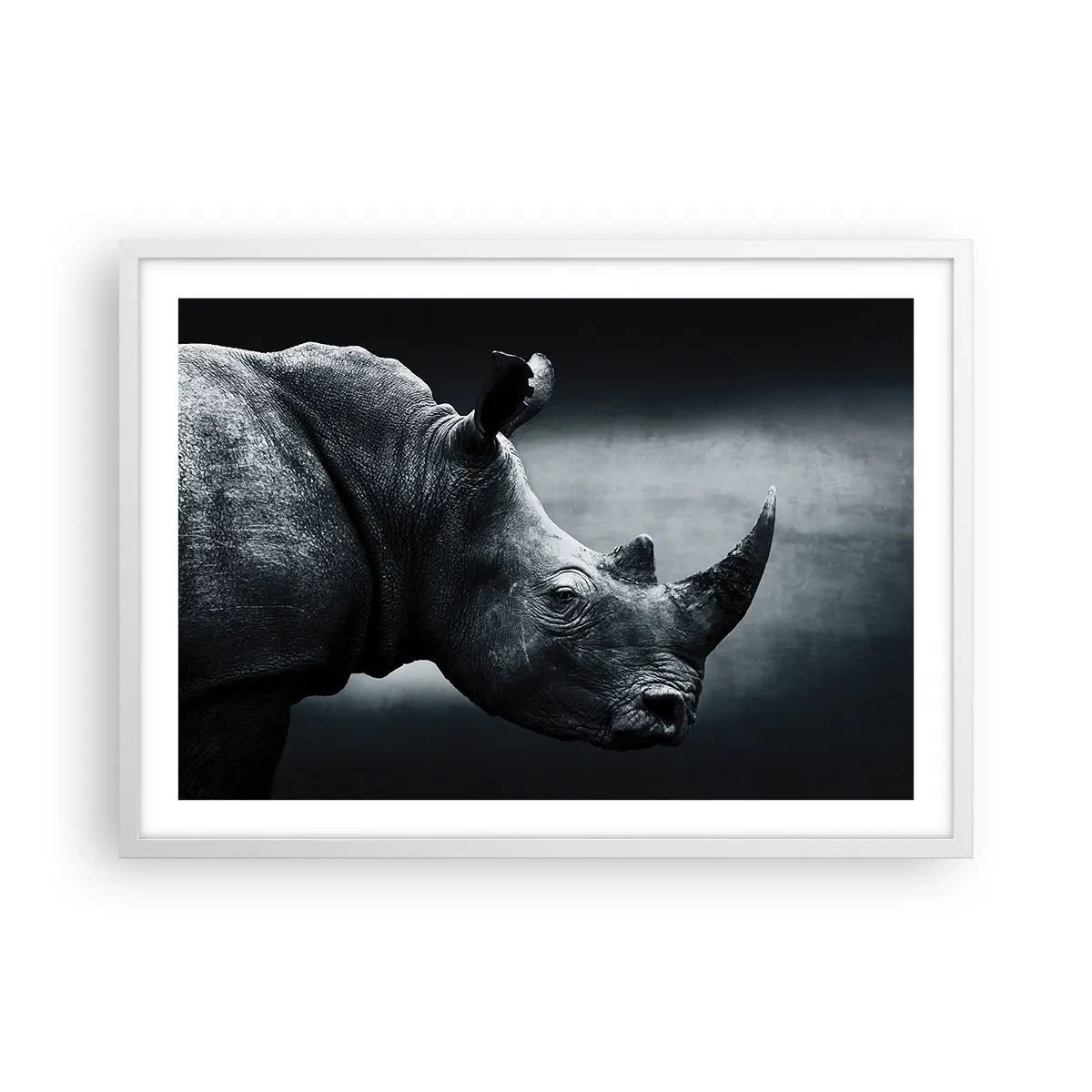 Plagát v bielom ráme - Pravý profil - 70x50 cm
