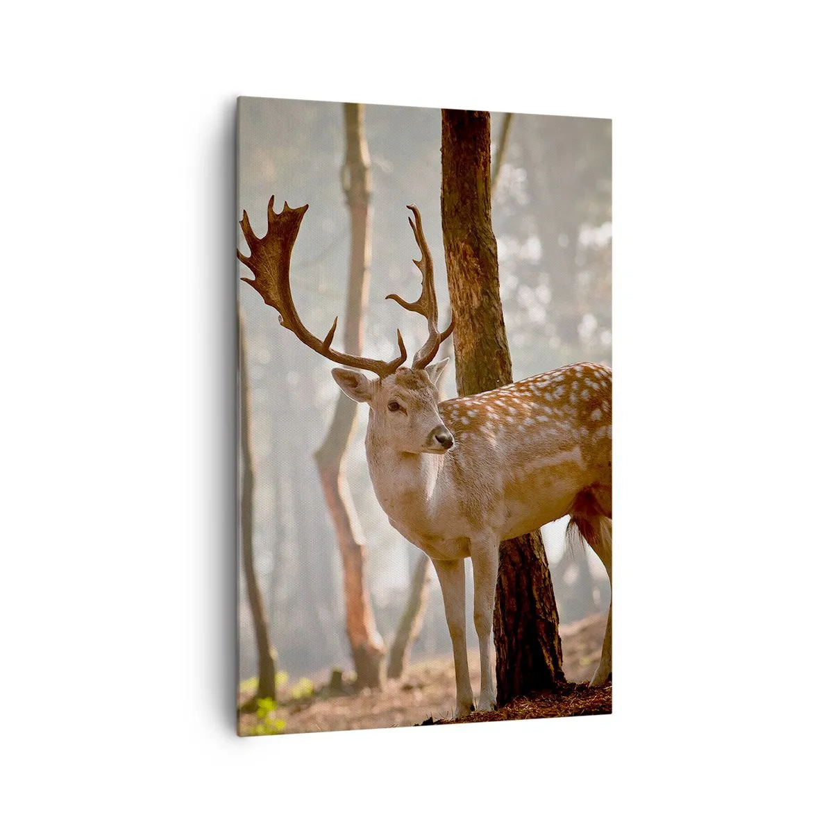 Obraz na plátne - Svetlo mladosti - 80x120 cm