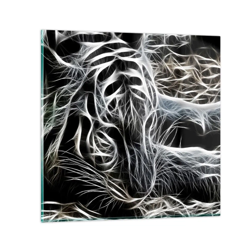 Obraz na skle - Štúdia mačacej ľahkosti - 30x30 cm