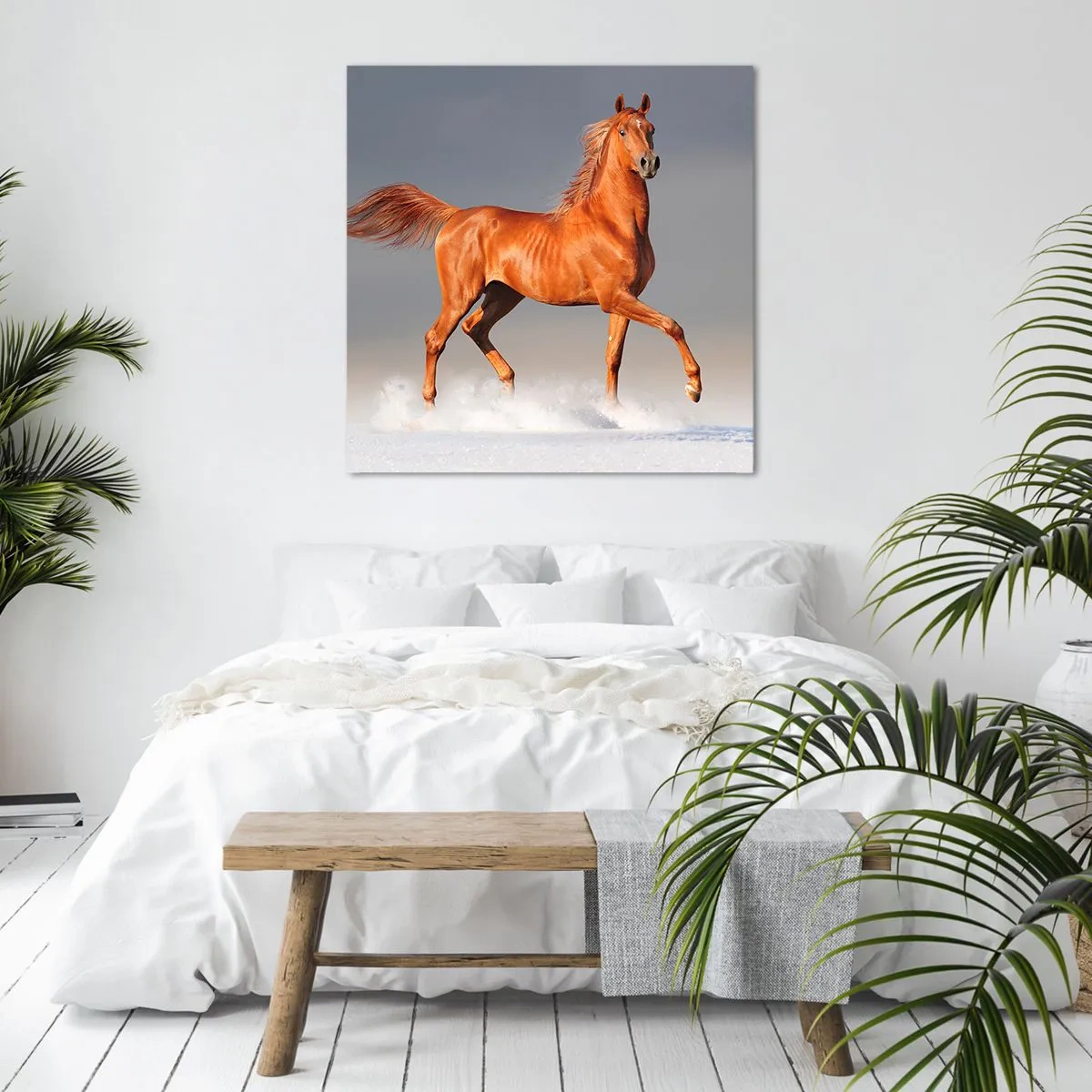 Obraz na plátne - Tancujúca elegancia - 60x60 cm