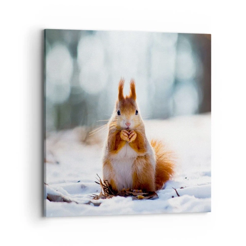 Obraz na plátne - Čo sa tak pozeráš? - 70x70 cm