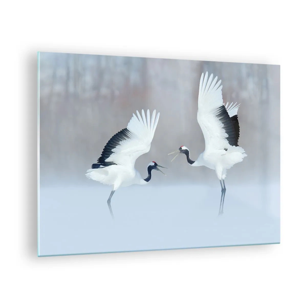 Obraz na skle - Tancujúce žeriavy na pozadí zimnej krajiny - 70x50cm - Tanec v hmle - Moderná nástenná dekorácia do obývacej izby a spálne ARTTOR