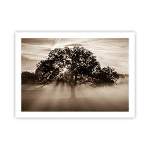 Plagát - Strom správ samotného dobra - 70x50 cm
