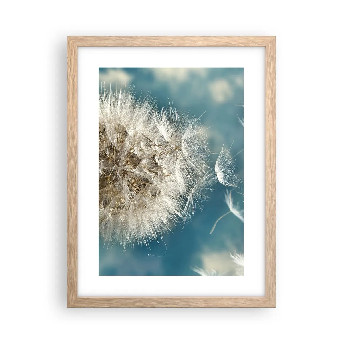 Plagát v ráme zo svetlého duba - Dych anjela - 30x40 cm