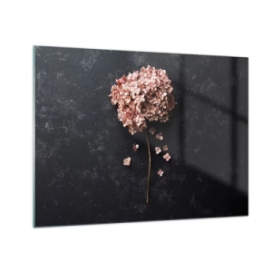 Obraz na skle - Suchá hortenzia s roztrúsenými okvetnými lístkami na tmavom pozadí - 70x50cm - Skutočne romantické znamenie - Moderná nástenná dekorácia do obývacej izby a spálne ARTTOR