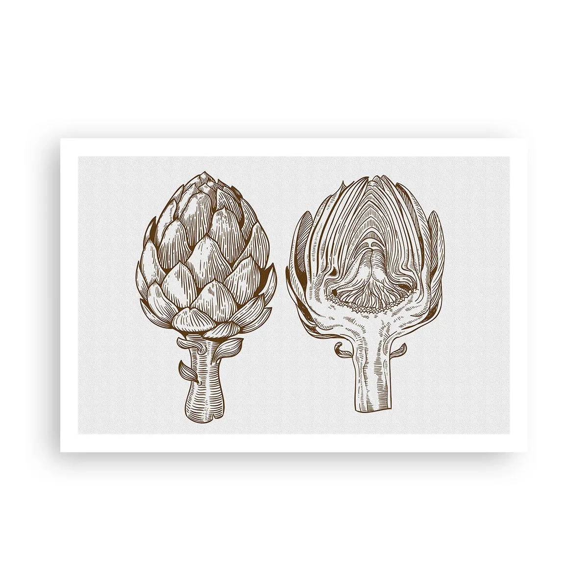 Plagát - Hodiny anatómie - 91x61 cm