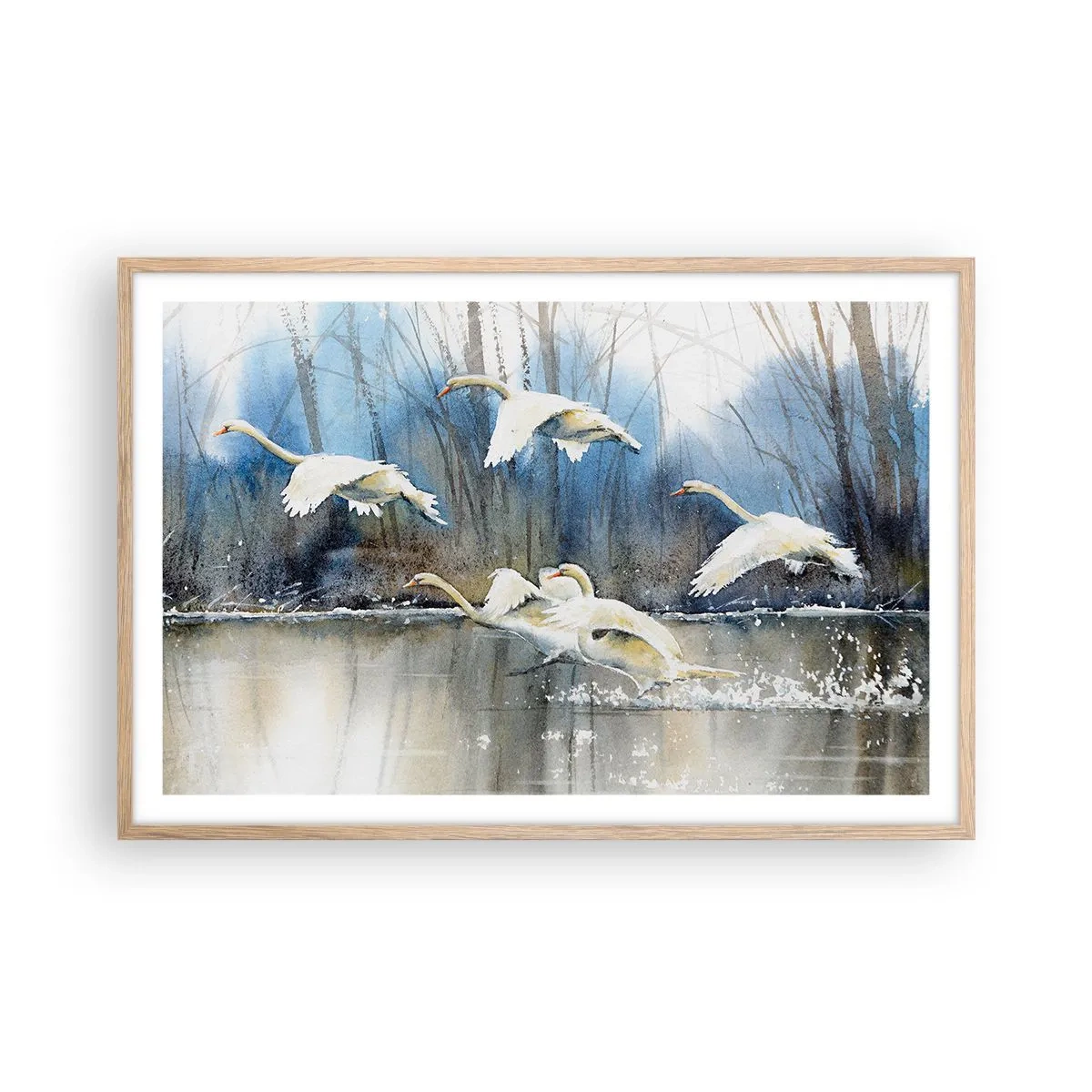 Plagát v ráme zo svetlého duba - Ako v poviedke o divokých labutiach - 91x61 cm