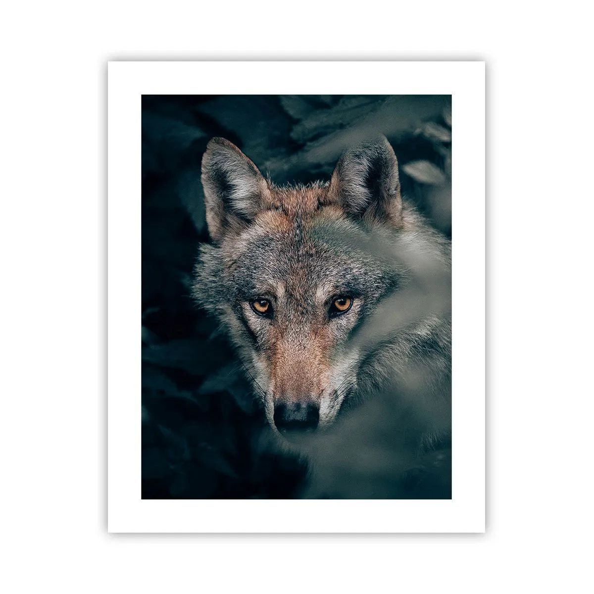 Plagát - Predátor - 40x50 cm