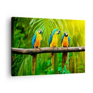 Obraz na plátne - Tri farebné papagáje na pozadí tropickej zelene - 70x50cm - Počula si, že ona…? - Moderná nástenná dekorácia do obývacej izby a spálne ARTTOR