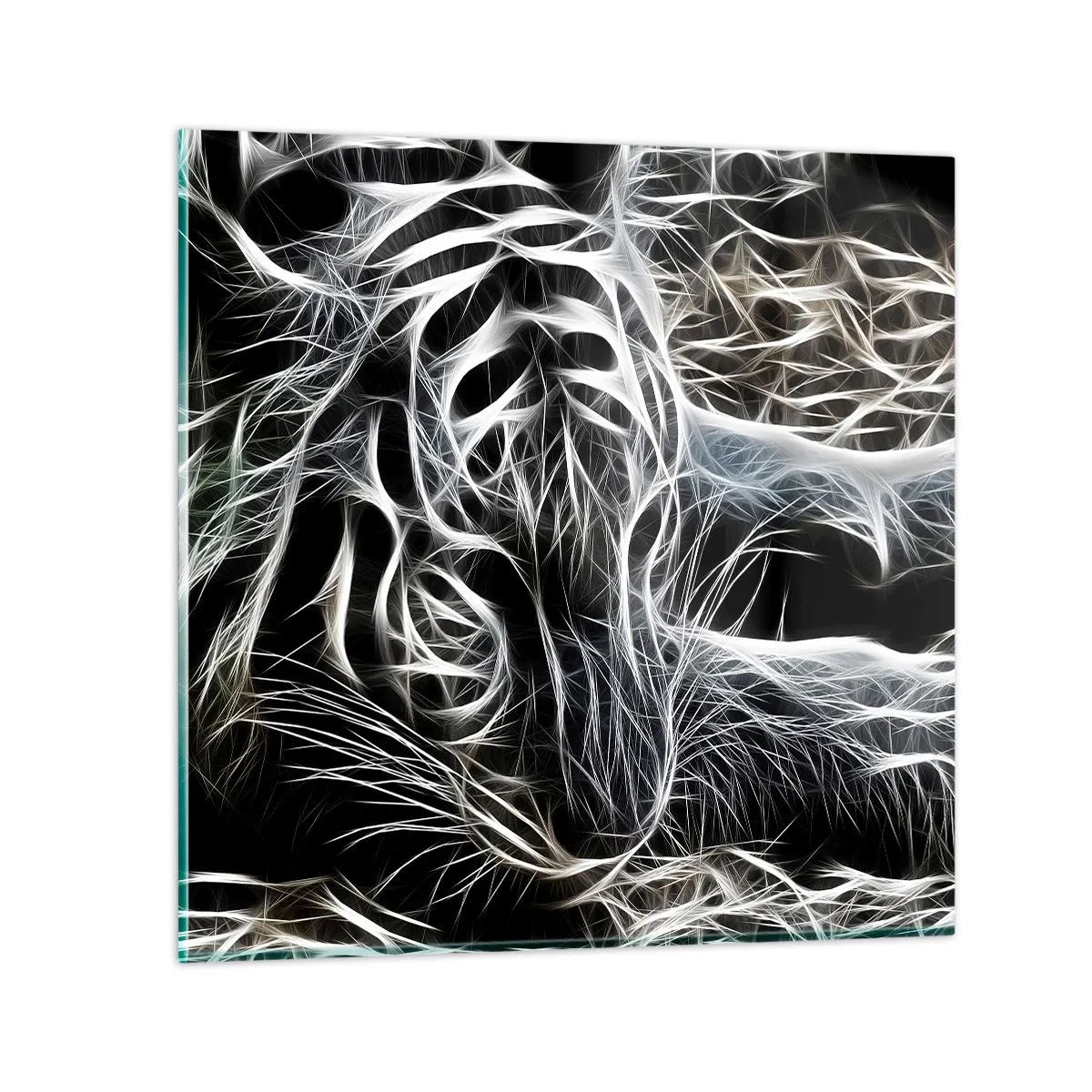 Obraz na skle - Štúdia mačacej ľahkosti - 60x60 cm