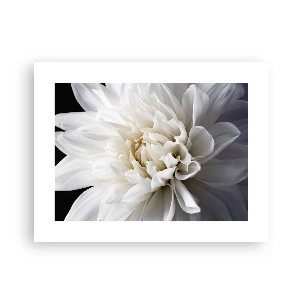 Plagát - Ráno s nevestou - 40x30 cm