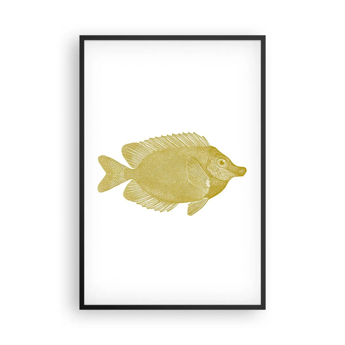 Plagát v čiernom ráme - Proste ryba - 61x91 cm