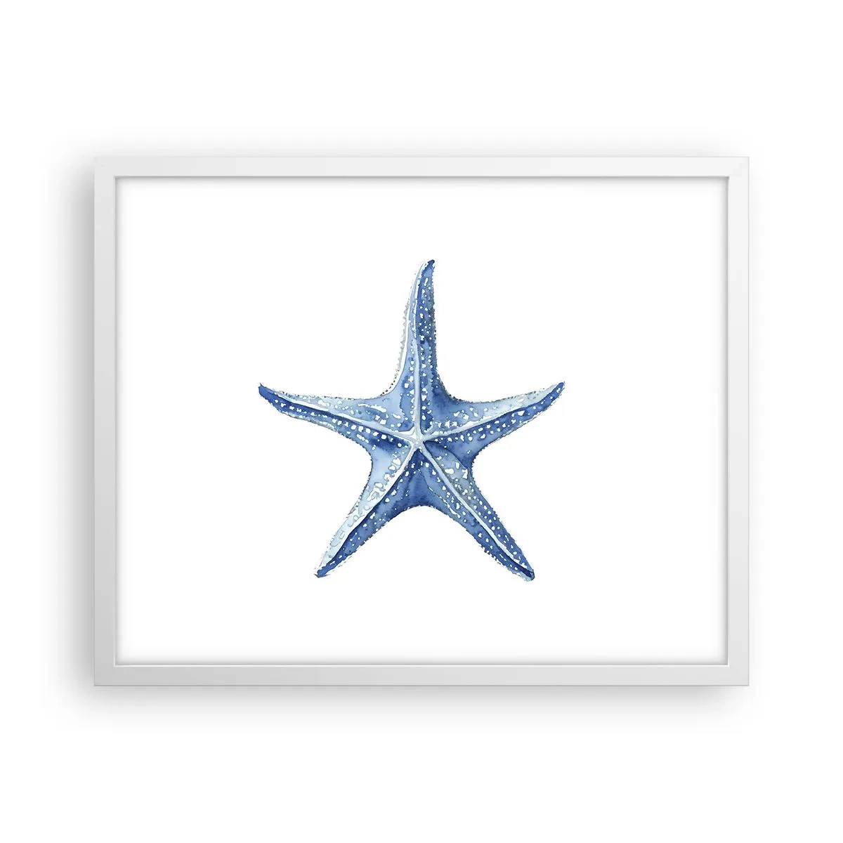 Plagát v bielom ráme - Hviezda mora - 50x40 cm