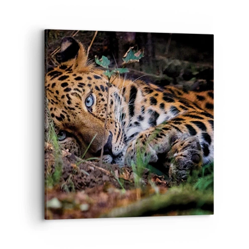 Obraz na plátne - Ver mi - 70x70 cm