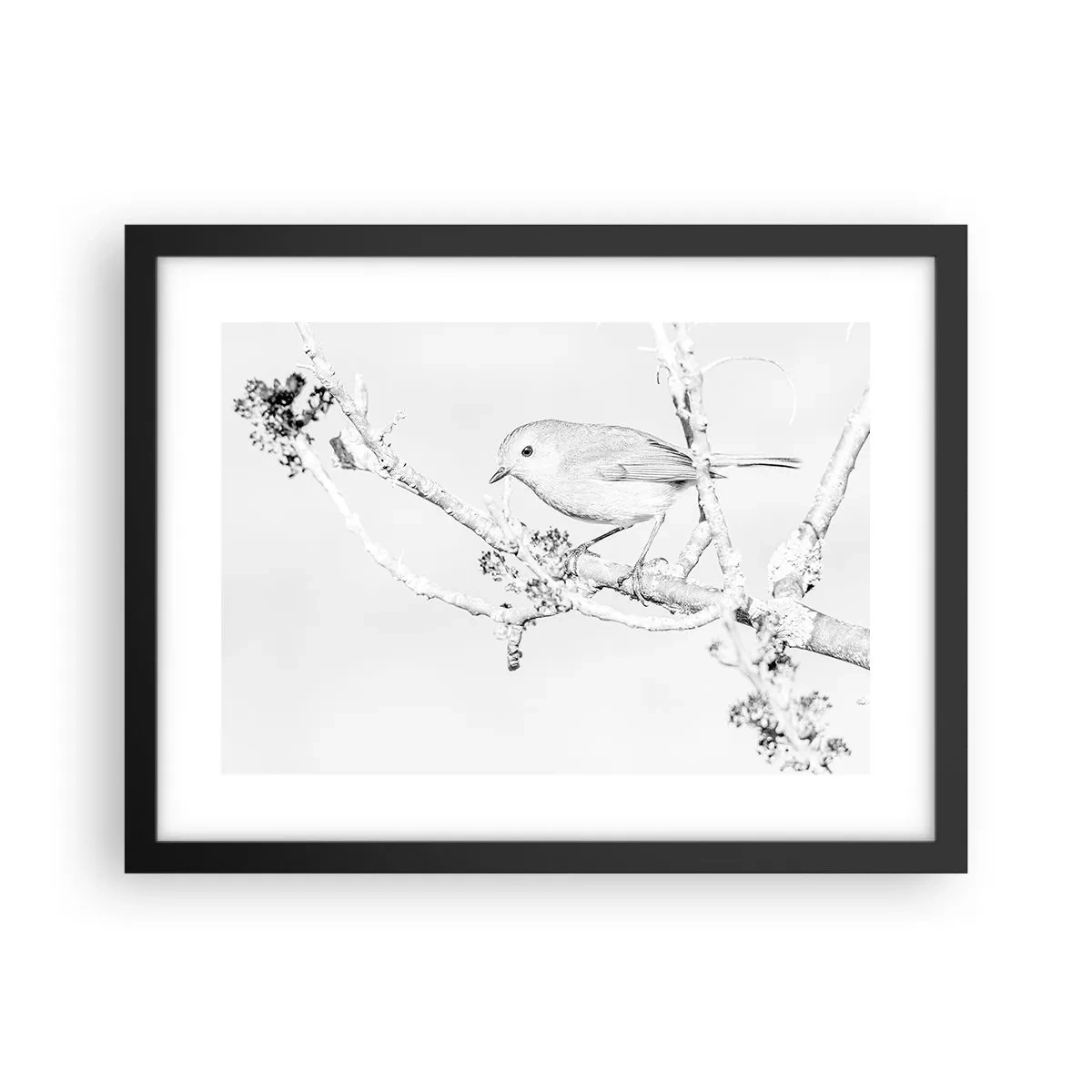 Plagát v čiernom ráme - Zimné ráno - 40x30 cm
