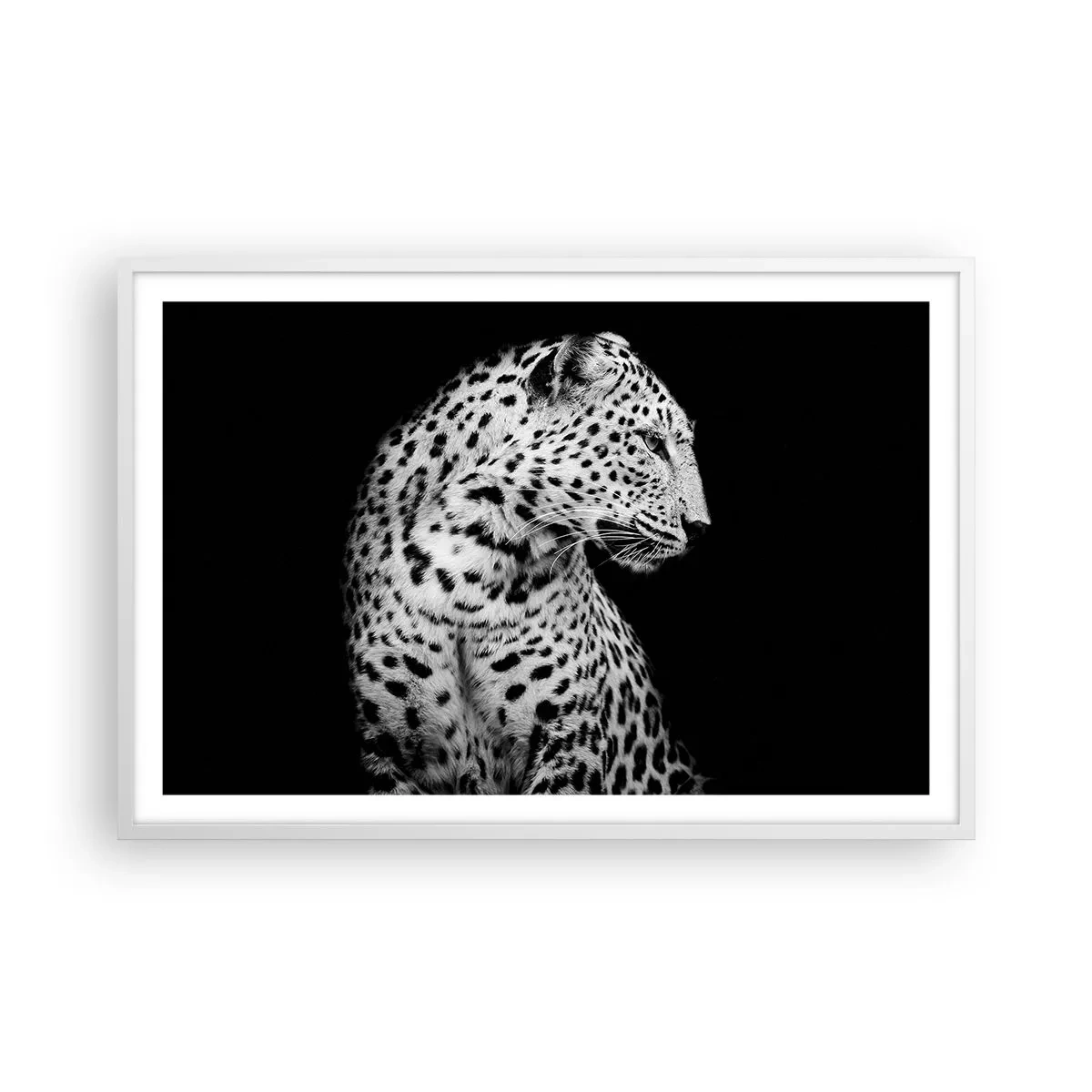 Plagát v bielom ráme - Pravý profil perfektný! - 91x61 cm