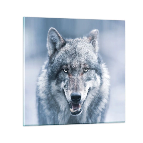 Obraz na skle - Prijmete túto výzvu? - 70x70 cm