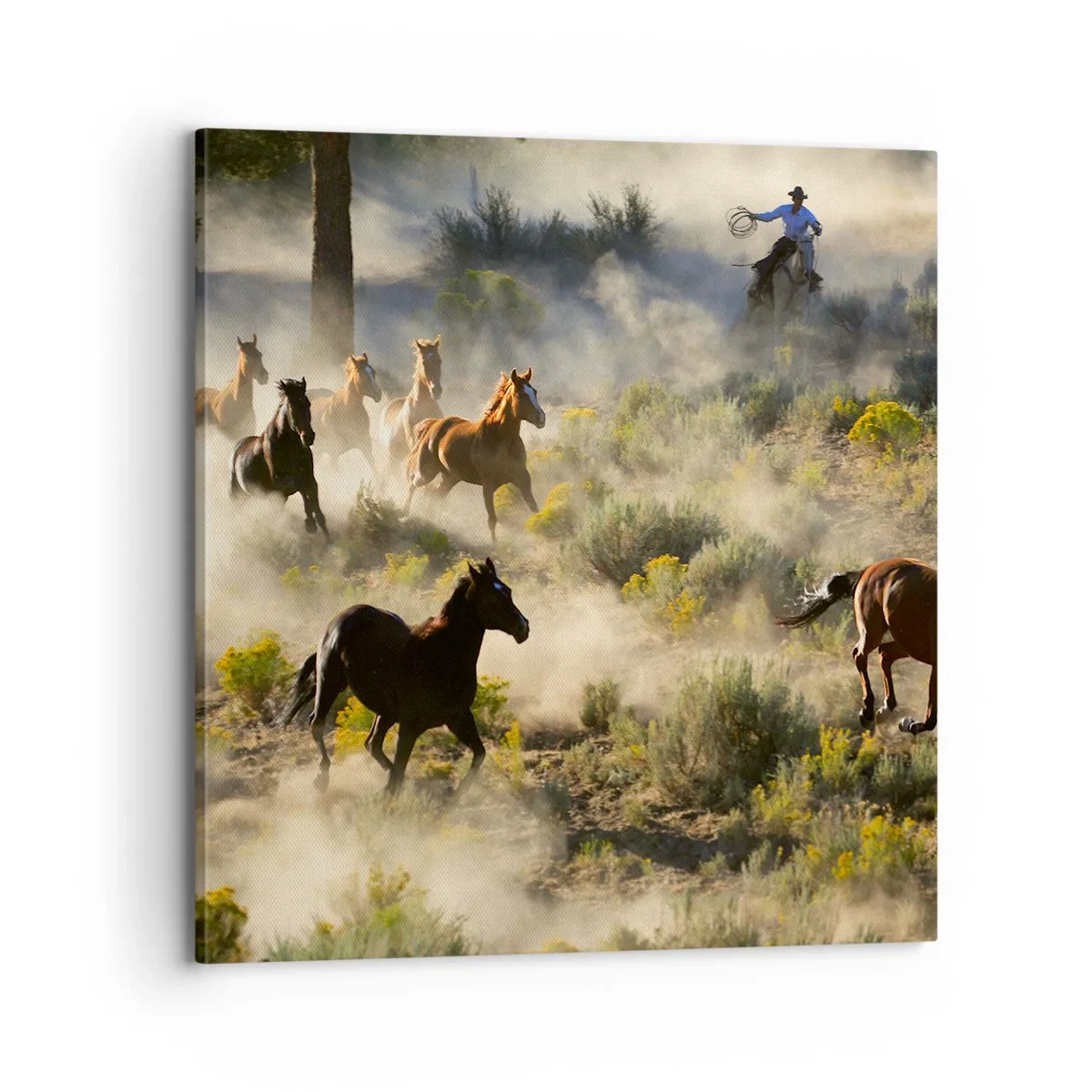 Obraz na plátne - Rivalita - sloboda alebo mužská sila? - 70x70 cm