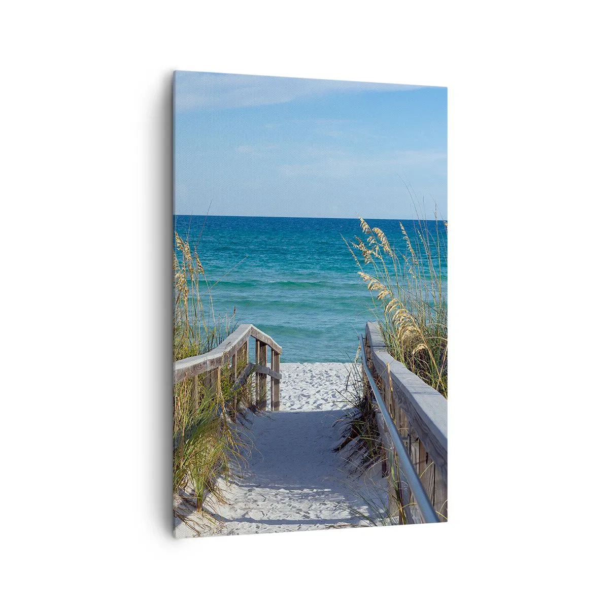 Obraz na plátne - Na slnku, vo vetre - 80x120 cm