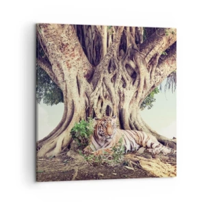 Obraz na plátne - Pohľad z knihy Mojžišovej - 50x50 cm