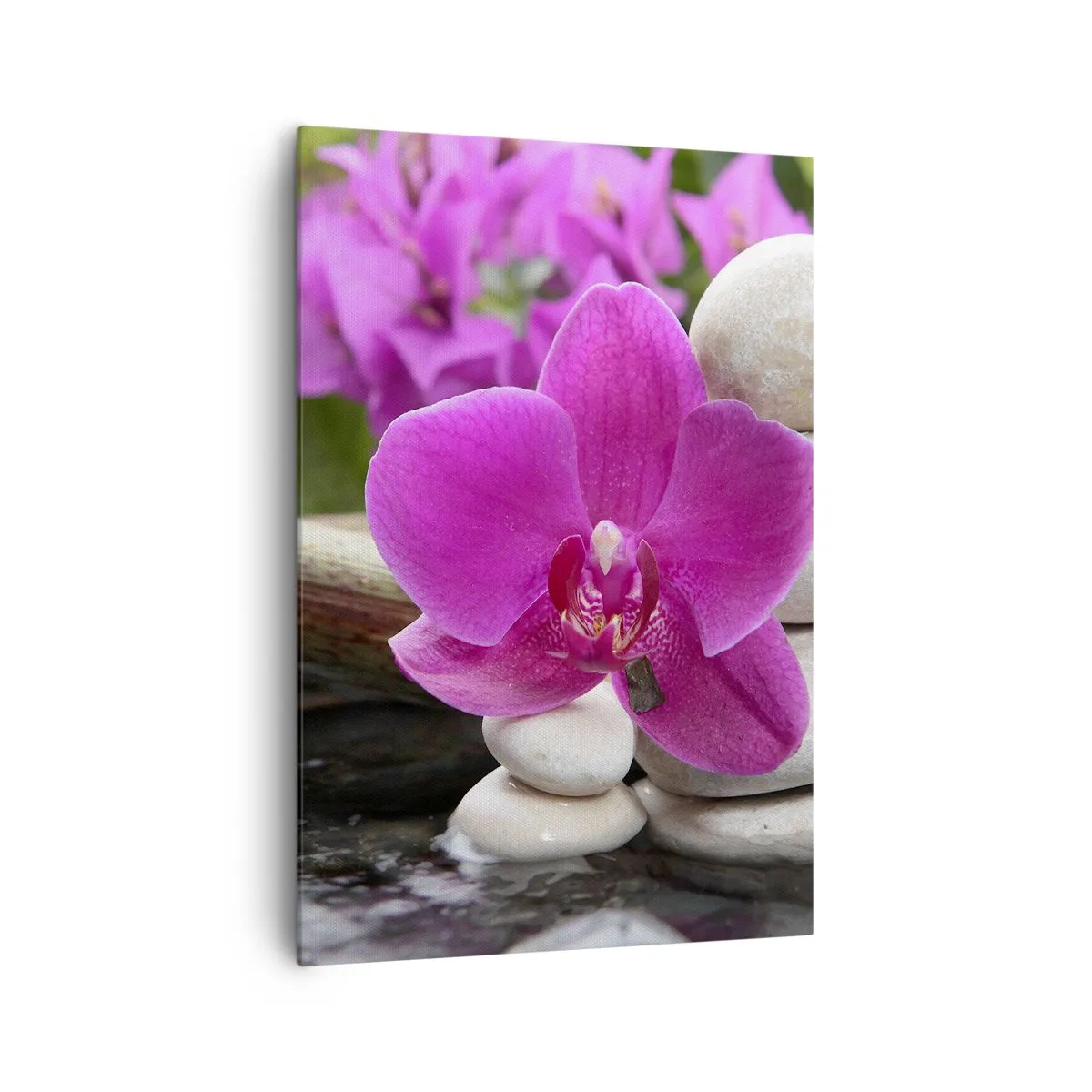 Obraz na plátne - Už odpočívaš - 70x100 cm