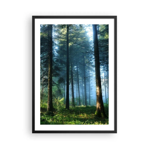 Plagát v čiernom ráme - Ihličnatý les v rannom slnku a ľahkej hmle - 50x70cm - Žiariaci za úsvitu - Moderná nástenná dekorácia do obývacej izby a spálne ARTTOR
