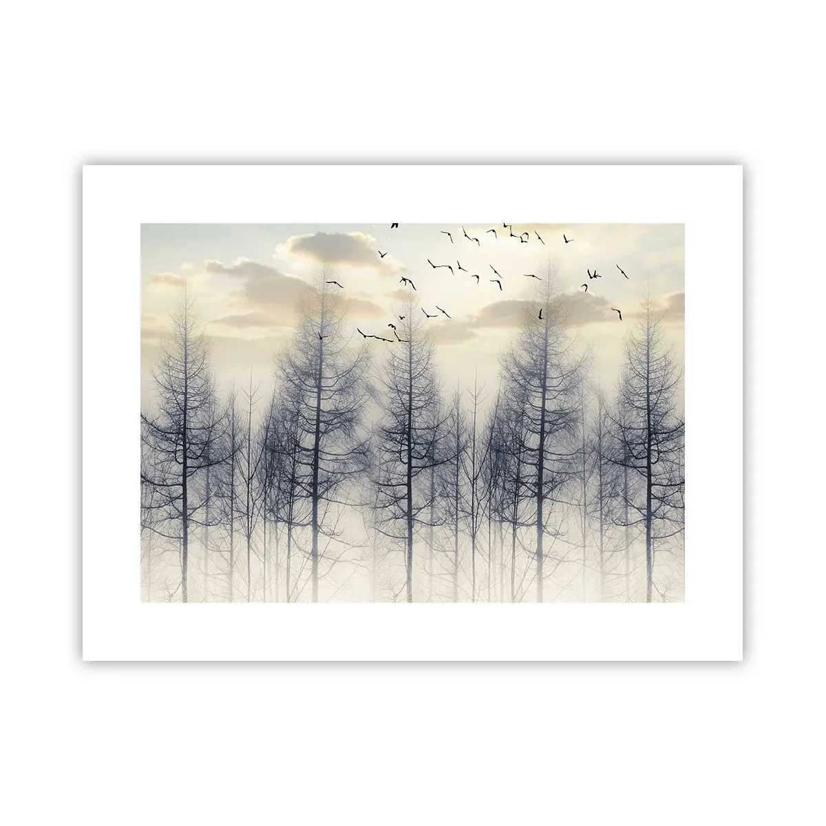 Plagát - Duchovia lesa - 40x30 cm