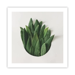 Plagát - Neukojiteľná zvedavosť - 50x50 cm