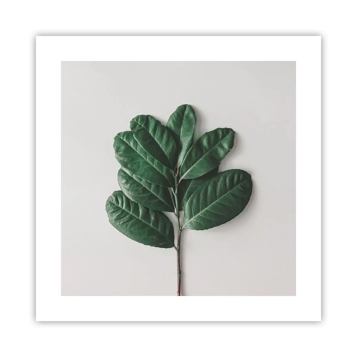 Plagát - Kresba samotnej prírody - 40x40 cm