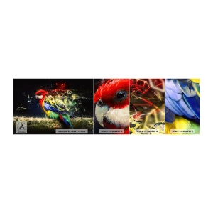 Vzorka samolepiacej fototapety Deluxe Sticker - Posol žiary - Abstrakcia, Papagáj, Vták - 100x30 cm