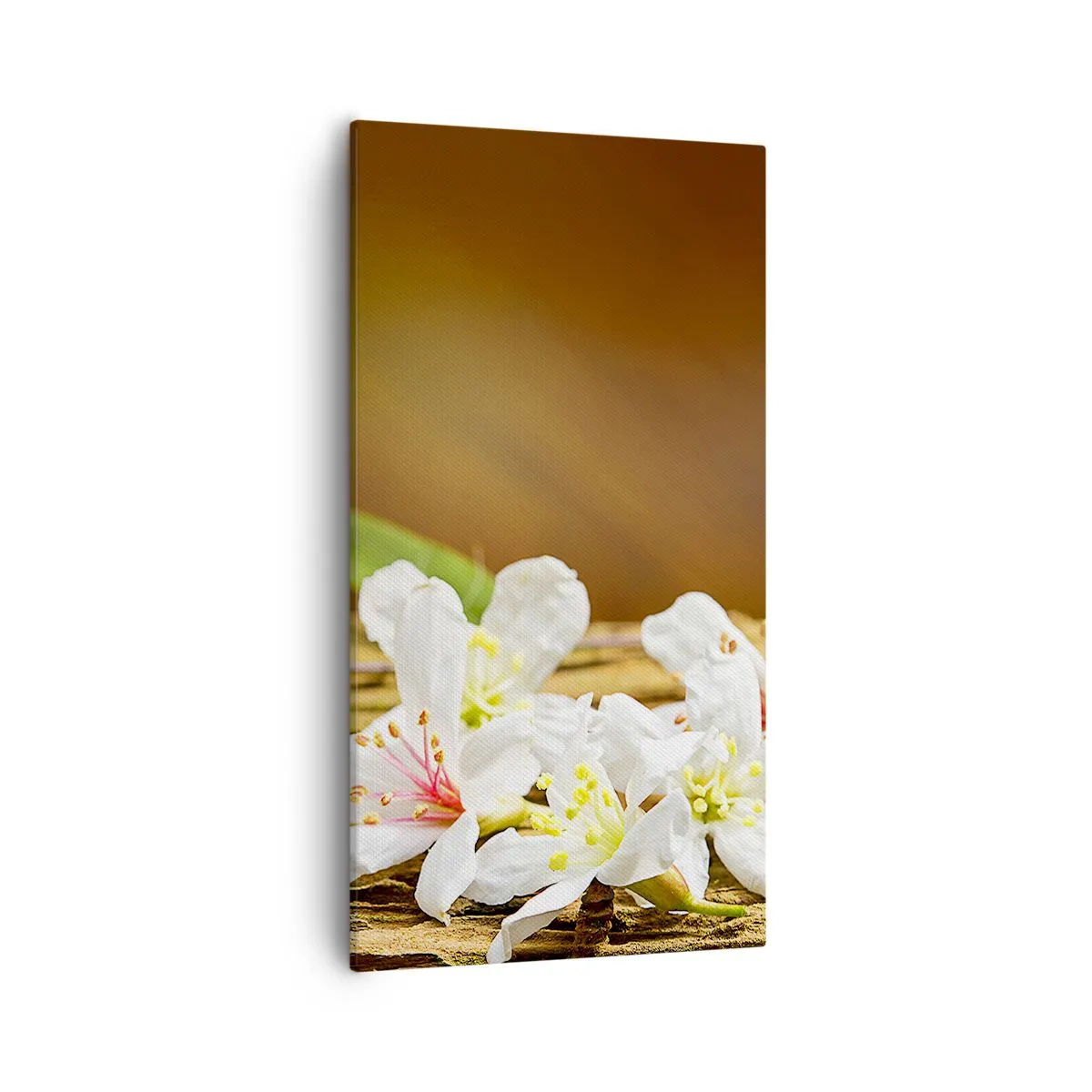 Obraz na plátne - Nevinný prísľub - 55x100 cm